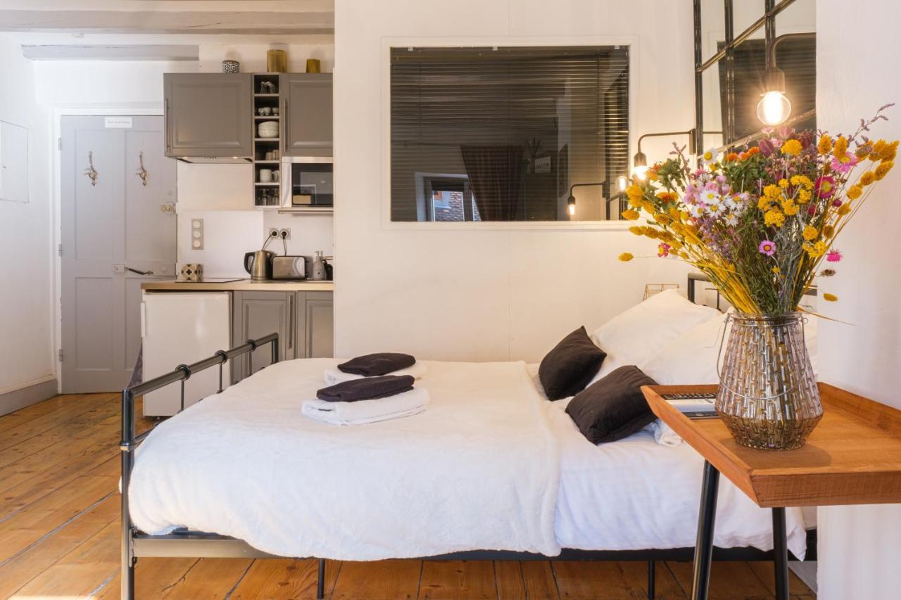 Au Grey D'Annecy, Studio Cosy Au Coeur De La Ville Luaran gambar
