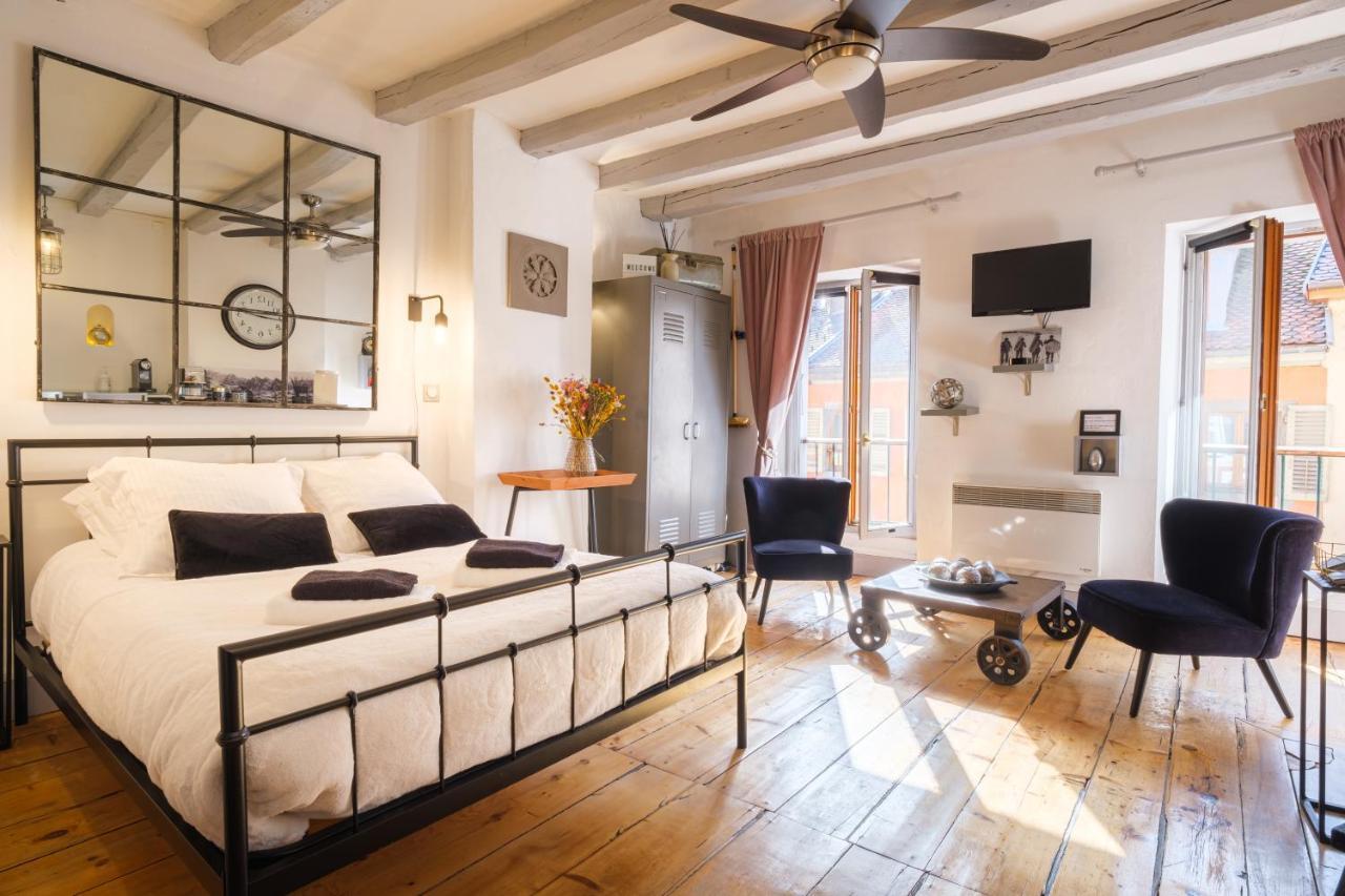 Au Grey D'Annecy, Studio Cosy Au Coeur De La Ville Luaran gambar
